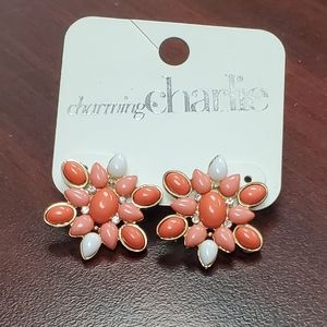 Ladies earrings